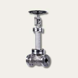 Cryogenic Globe Valves