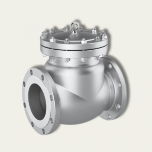 Swing Check Valve
