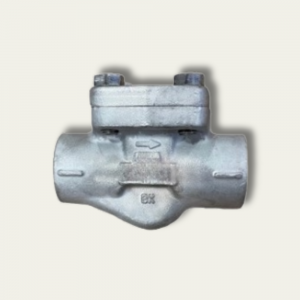 Piston Check Valves
