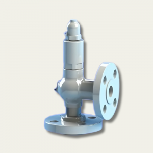 Safety Relief Valve