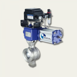 Segmented Ball Control Valve