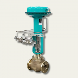 Globe Control Valves