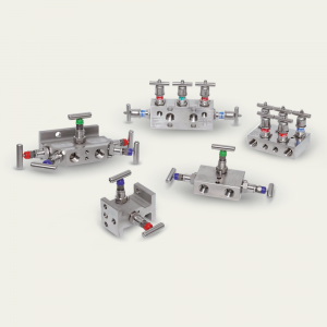 Manifold Valves