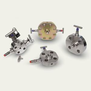 Monoflange Valves