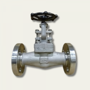 Straight Pattern Globe Valve